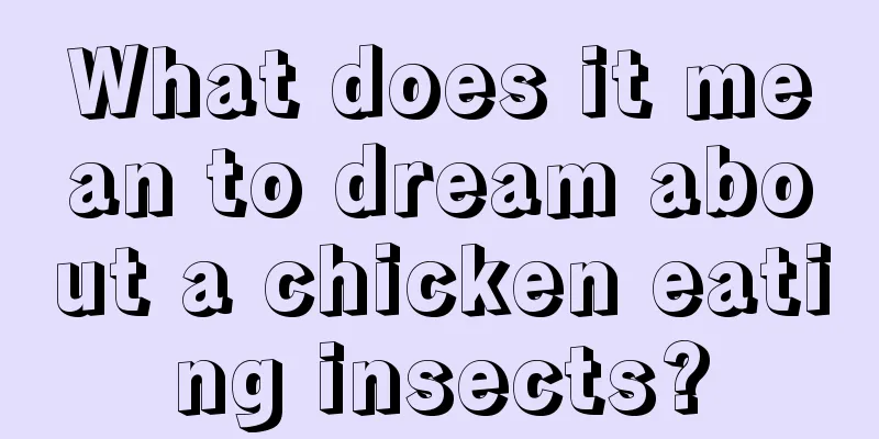 What does it mean to dream about a chicken eating insects?