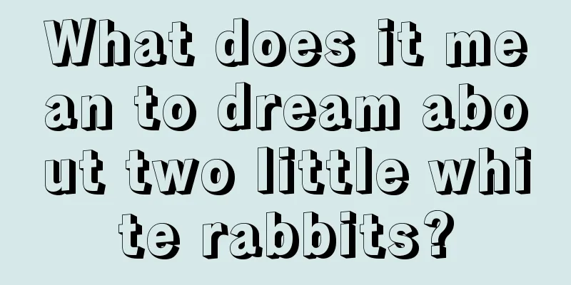 What does it mean to dream about two little white rabbits?