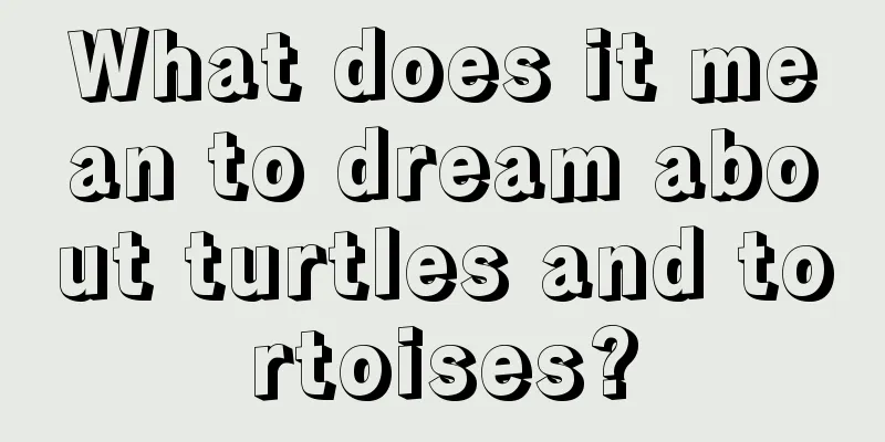 What does it mean to dream about turtles and tortoises?