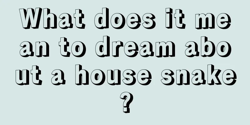 What does it mean to dream about a house snake?