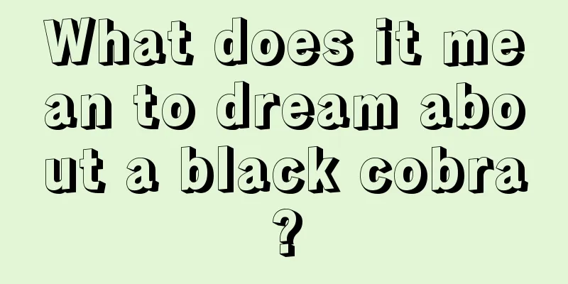 What does it mean to dream about a black cobra?