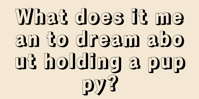 What does it mean to dream about holding a puppy?