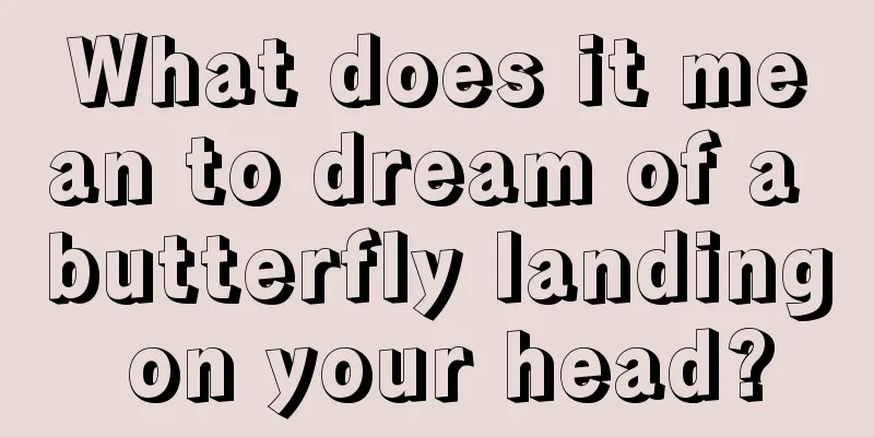 What does it mean to dream of a butterfly landing on your head?