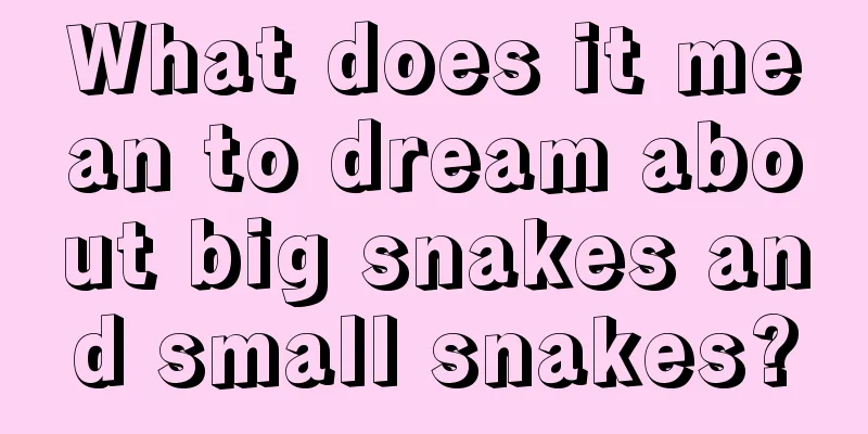 What does it mean to dream about big snakes and small snakes?