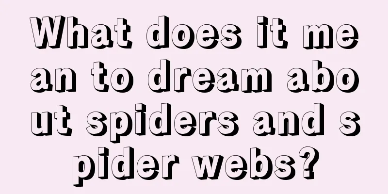 What does it mean to dream about spiders and spider webs?