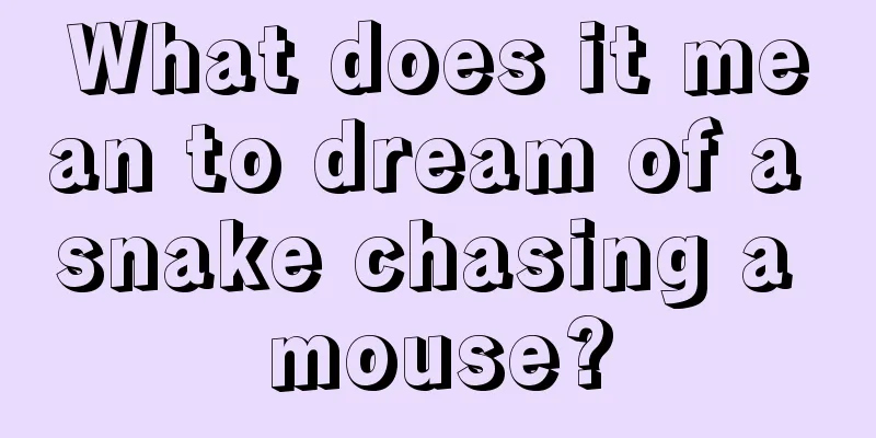 What does it mean to dream of a snake chasing a mouse?