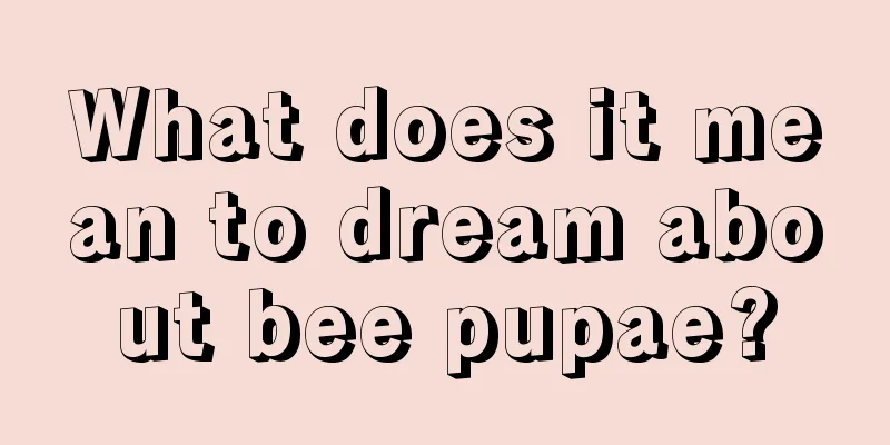 What does it mean to dream about bee pupae?