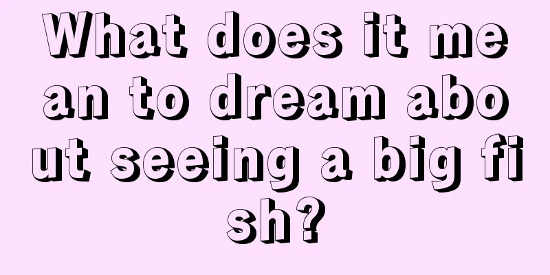 What does it mean to dream about seeing a big fish?