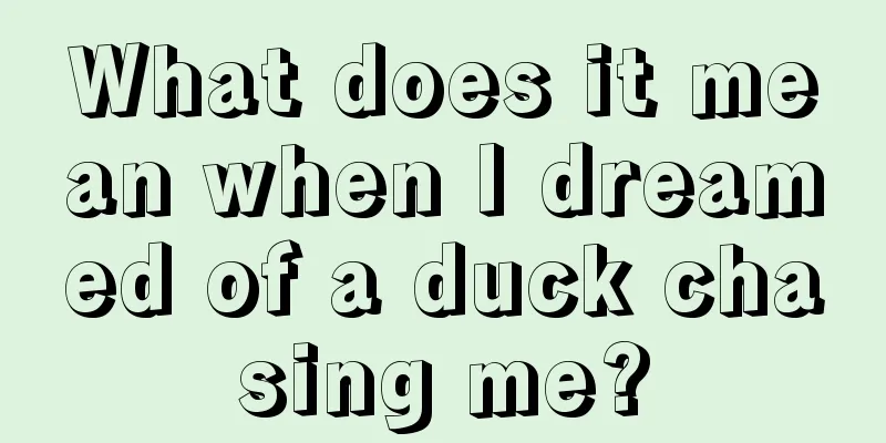 What does it mean when I dreamed of a duck chasing me?