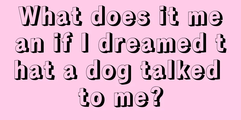 What does it mean if I dreamed that a dog talked to me?