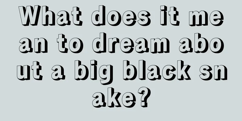 What does it mean to dream about a big black snake?