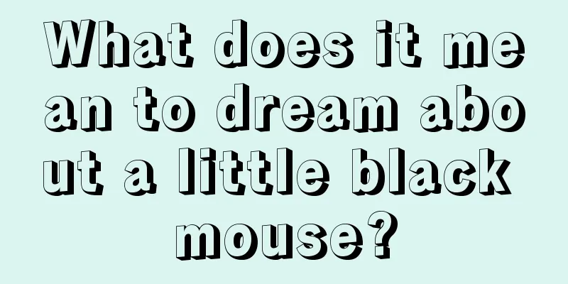 What does it mean to dream about a little black mouse?