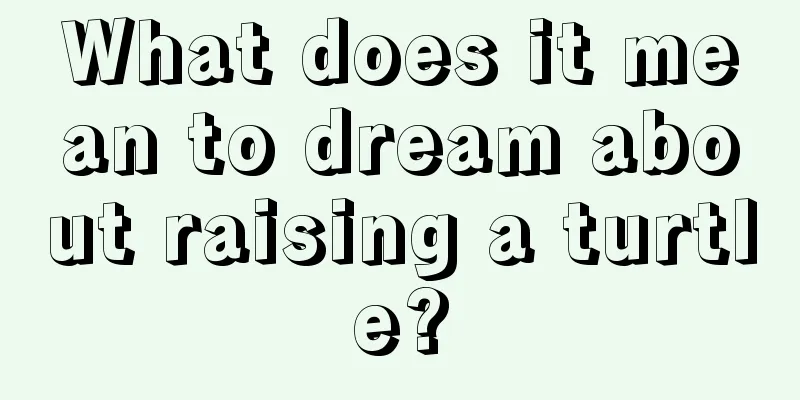 What does it mean to dream about raising a turtle?