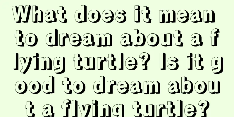 What does it mean to dream about a flying turtle? Is it good to dream about a flying turtle?