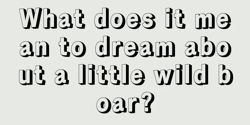 What does it mean to dream about a little wild boar?