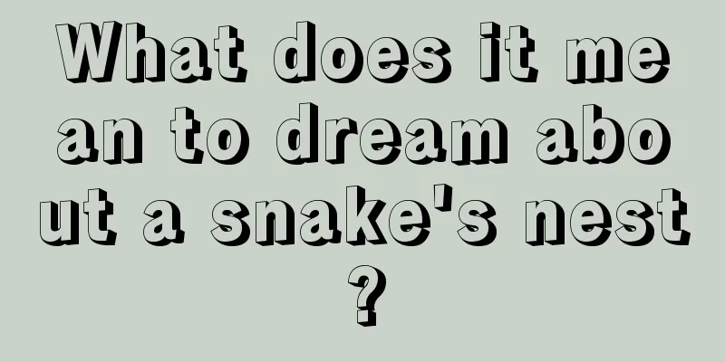 What does it mean to dream about a snake's nest?