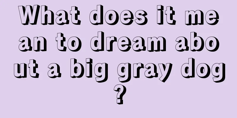 What does it mean to dream about a big gray dog?