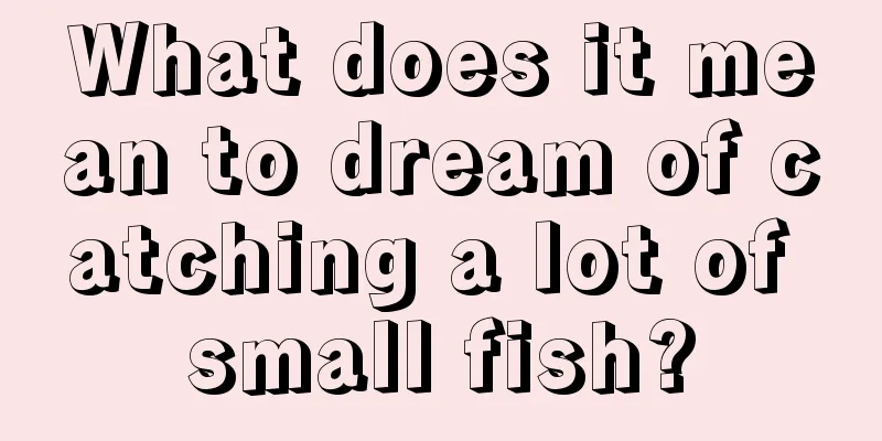 What does it mean to dream of catching a lot of small fish?