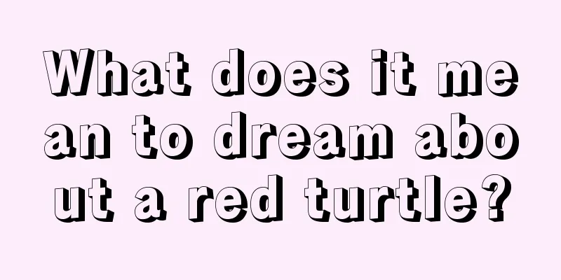 What does it mean to dream about a red turtle?