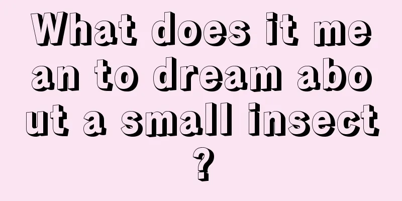 What does it mean to dream about a small insect?