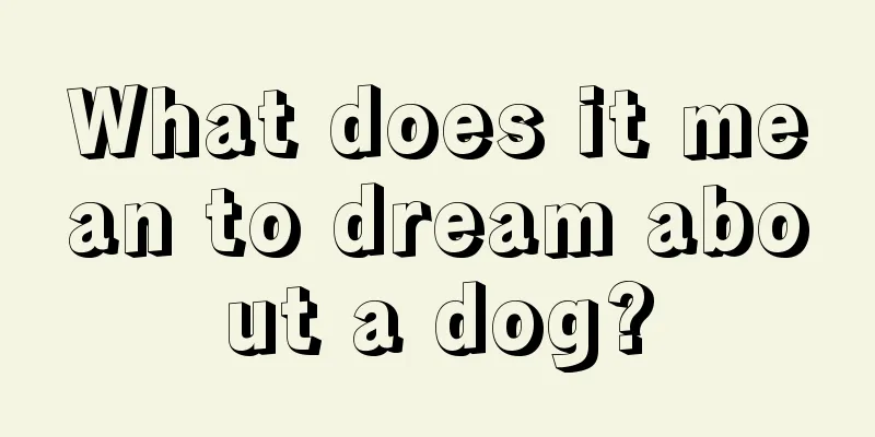 What does it mean to dream about a dog?