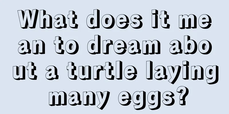 What does it mean to dream about a turtle laying many eggs?