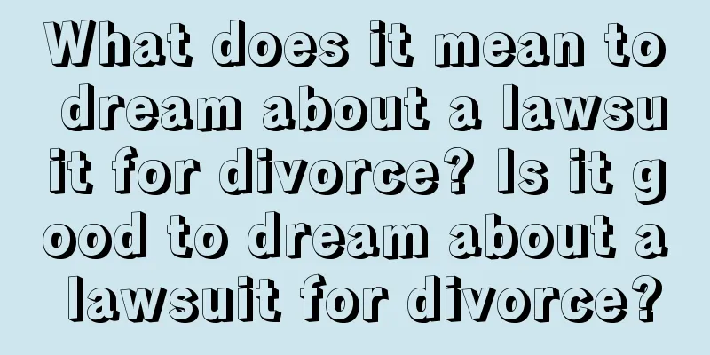 What does it mean to dream about a lawsuit for divorce? Is it good to dream about a lawsuit for divorce?