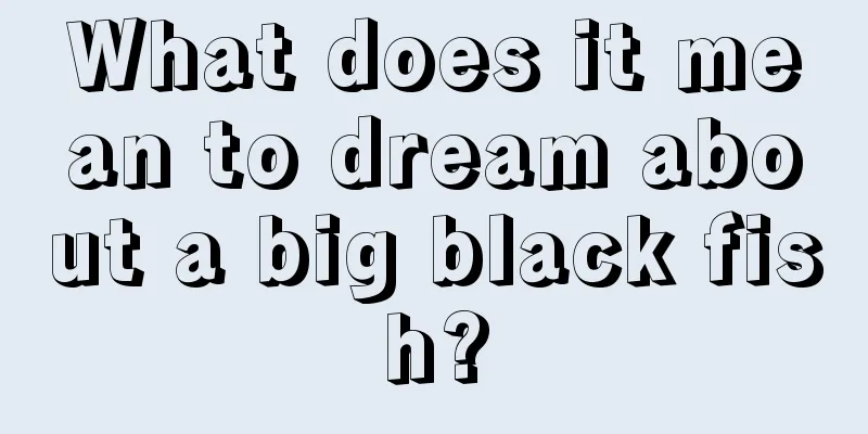 What does it mean to dream about a big black fish?