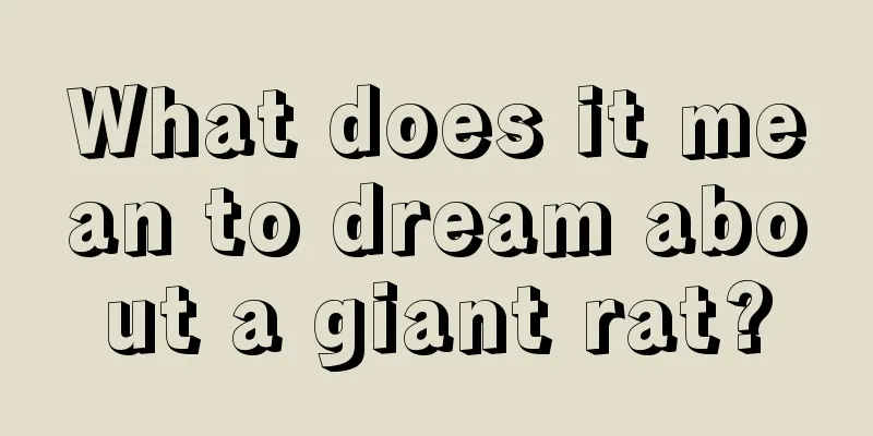 What does it mean to dream about a giant rat?