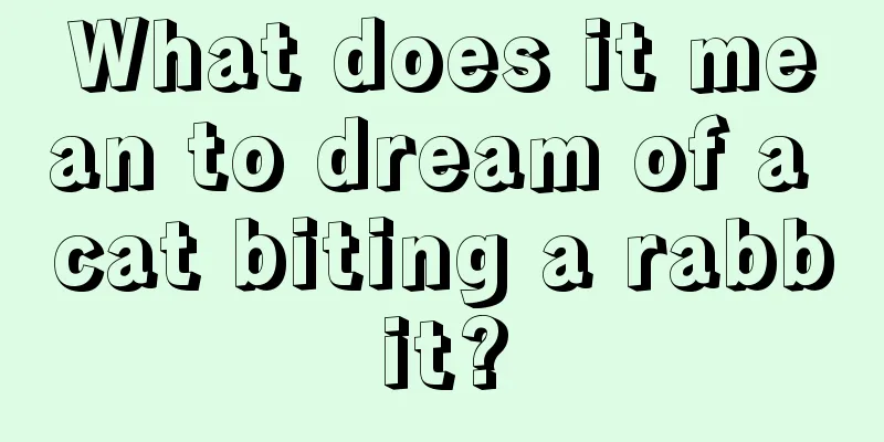 What does it mean to dream of a cat biting a rabbit?