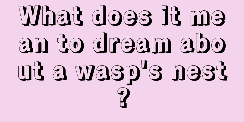 What does it mean to dream about a wasp's nest?