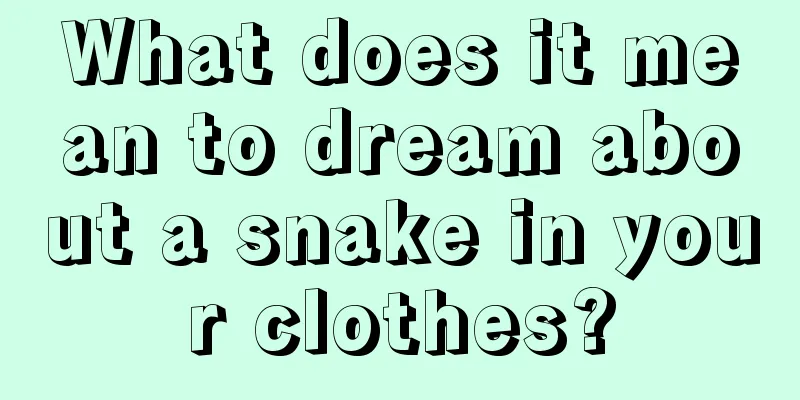 What does it mean to dream about a snake in your clothes?