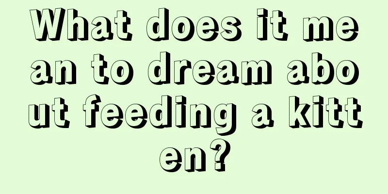 What does it mean to dream about feeding a kitten?