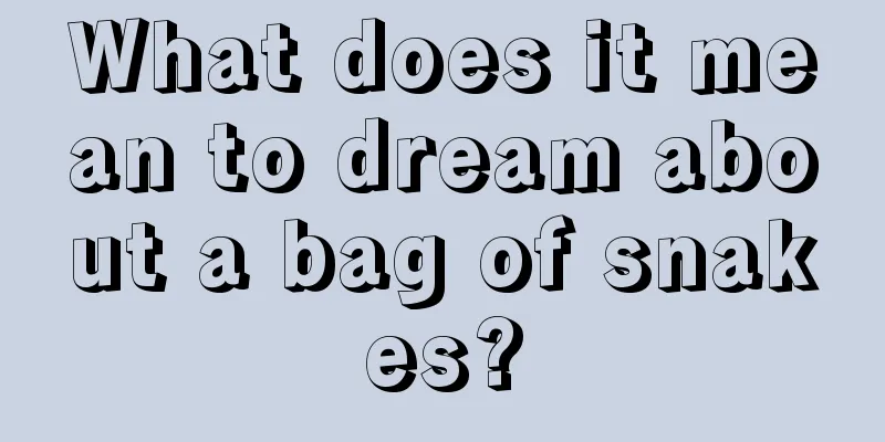 What does it mean to dream about a bag of snakes?