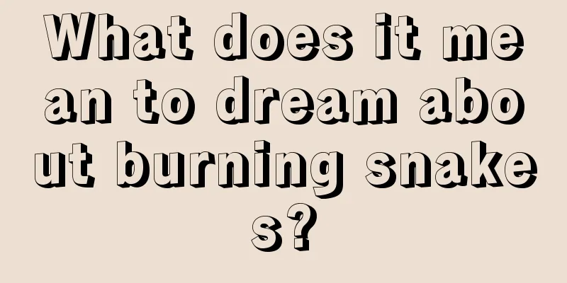 What does it mean to dream about burning snakes?