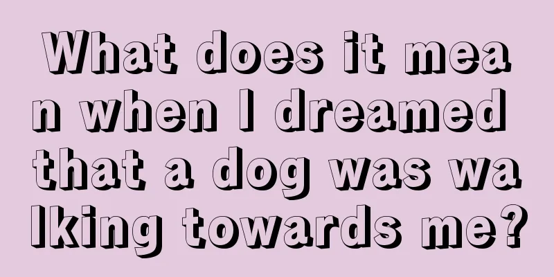 What does it mean when I dreamed that a dog was walking towards me?