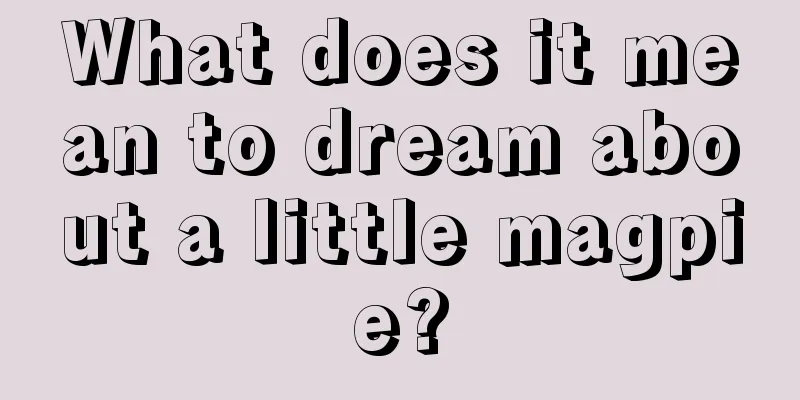 What does it mean to dream about a little magpie?