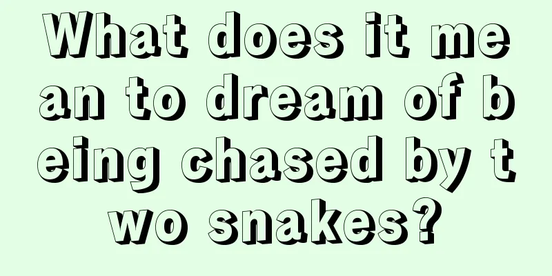 What does it mean to dream of being chased by two snakes?