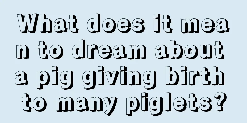 What does it mean to dream about a pig giving birth to many piglets?