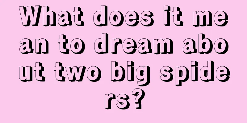 What does it mean to dream about two big spiders?