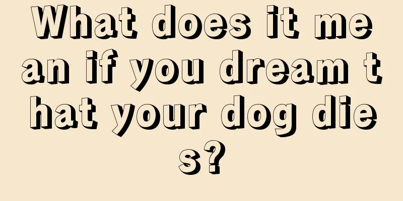 What does it mean if you dream that your dog dies?