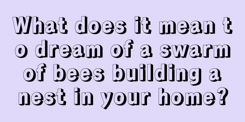 What does it mean to dream of a swarm of bees building a nest in your home?