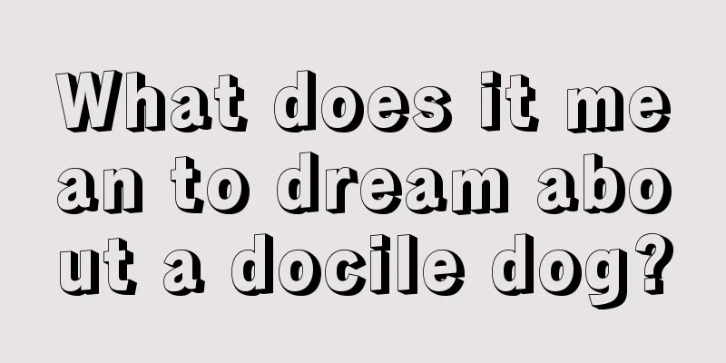 What does it mean to dream about a docile dog?