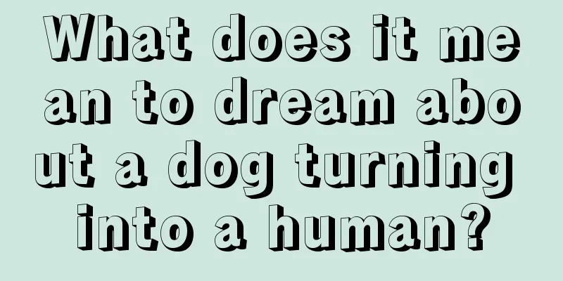 What does it mean to dream about a dog turning into a human?