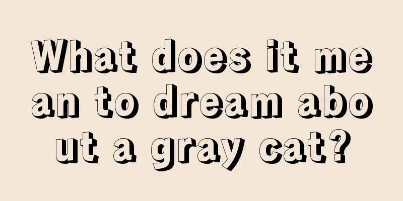 What does it mean to dream about a gray cat?