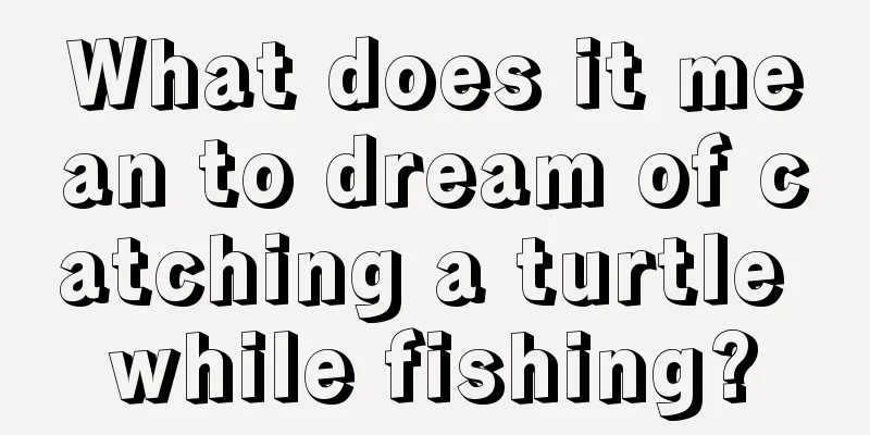 What does it mean to dream of catching a turtle while fishing?