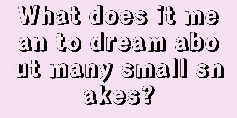 What does it mean to dream about many small snakes?