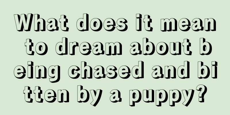 What does it mean to dream about being chased and bitten by a puppy?