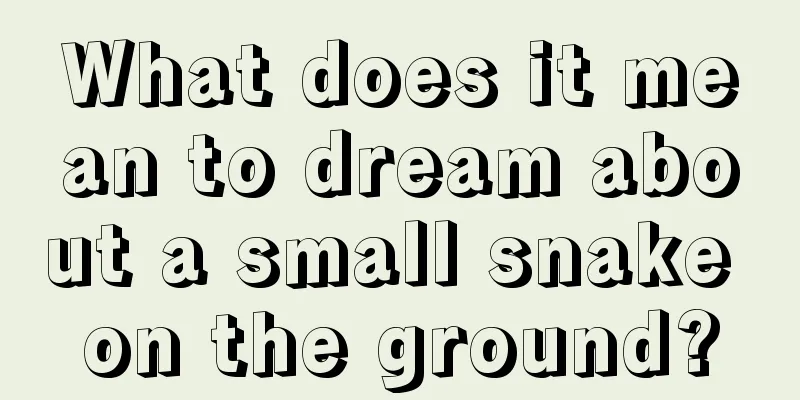 What does it mean to dream about a small snake on the ground?