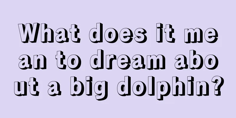 What does it mean to dream about a big dolphin?